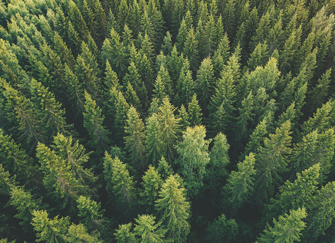 PEFC Falegnameria Collazuol