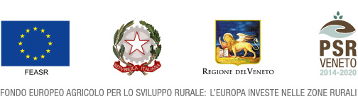 Falegnameria Collazuol