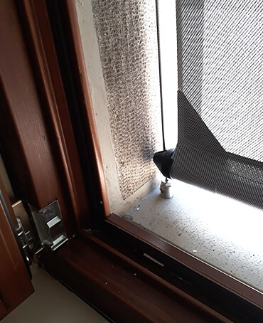 Scuola Primaria Vittorino da Feltre